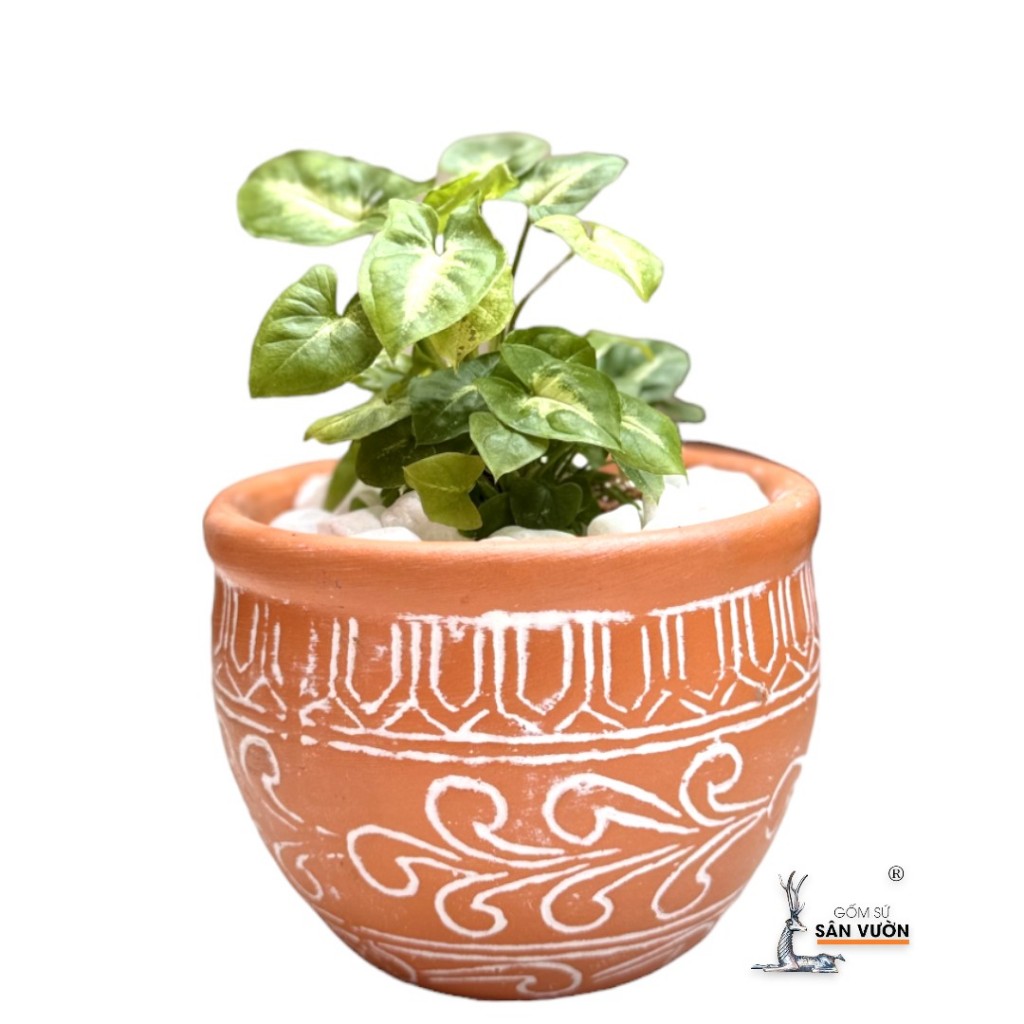 Chậu Gốm Đất Nung Trồng Cây Dáng Chum Vân Hoa - Gốm Sứ Sân Vườn