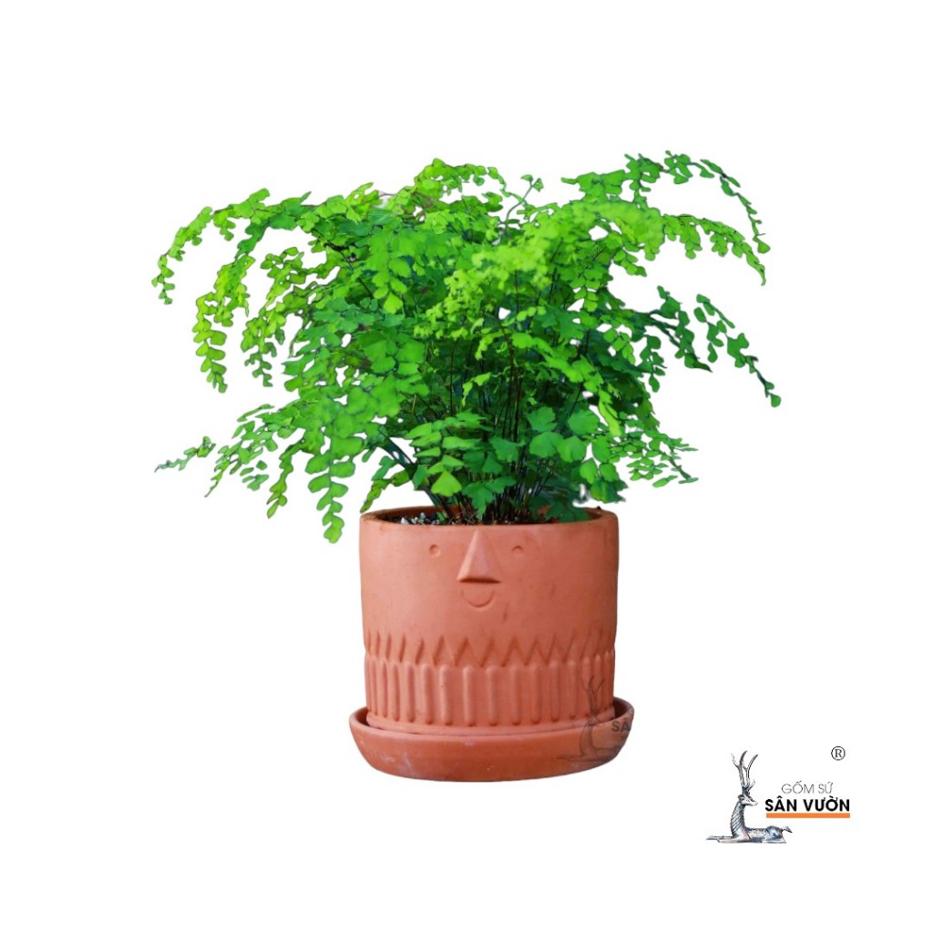 Chậu Gốm Đất Nung Trồng Cây Dáng Trụ Vân Lá Tre / Hình Thoi / Mặt Cười - Gốm Sứ Sân Vườn