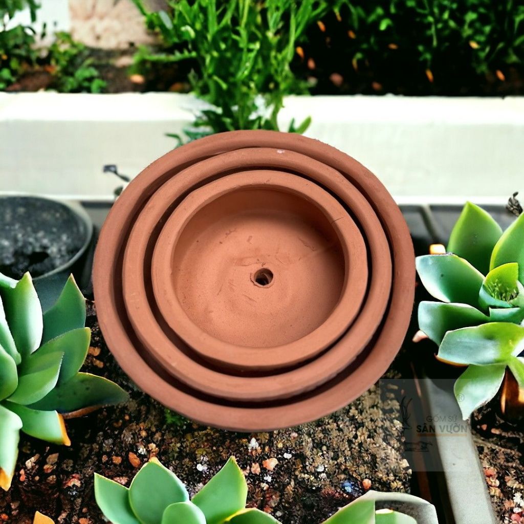 Chậu Gốm Đất Nung Hình Gốc Cây Thấp - Gốm Sứ Sân Vườn