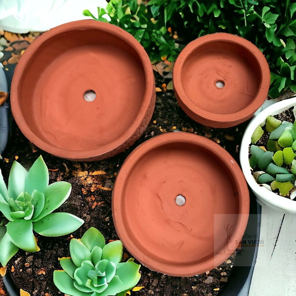 Chậu Gốm Đất Nung Hình Gốc Cây Thấp - Gốm Sứ Sân Vườn