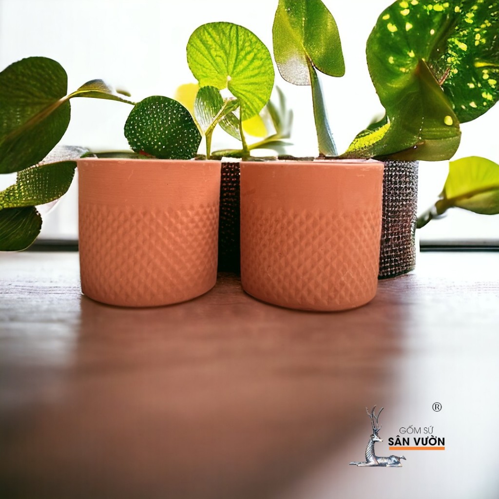 Chậu Gốm Đất Nung Vân Trụ Kim Cương  - Gốm Sứ Sân Vườn