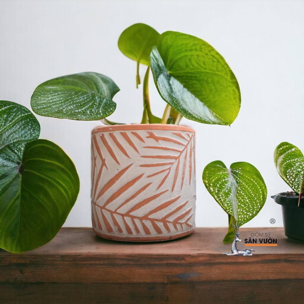 Chậu Gốm Đất Nung Trồng Cây Dáng Trụ Vân Lá Tre / Hình Thoi / Mặt Cười - Gốm Sứ Sân Vườn