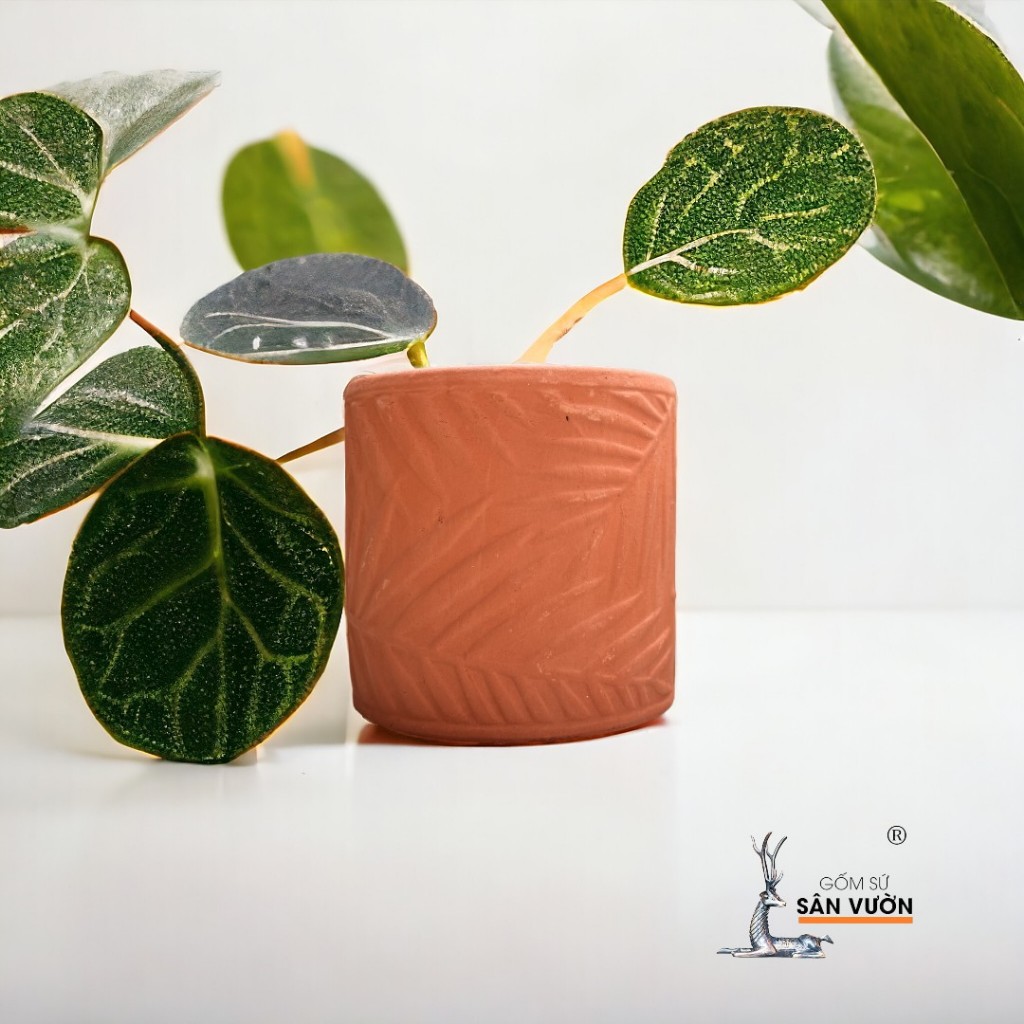 Chậu Gốm Đất Nung Trồng Cây Dáng Trụ Vân Lá Tre / Hình Thoi / Mặt Cười - Gốm Sứ Sân Vườn