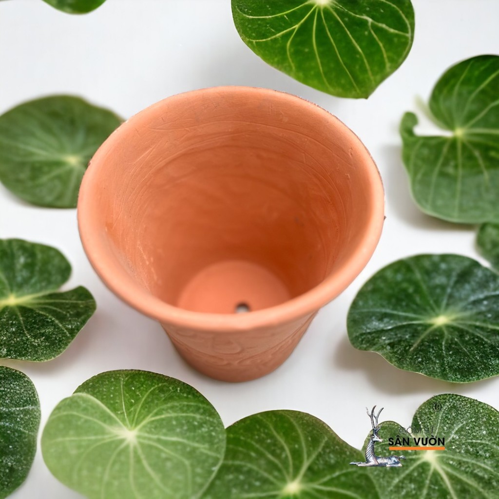 Chậu Gốm Đất Nung Vót Miệng Loe Hoa Văn Chỉ Trắng - Gốm Sứ Sân Vườn