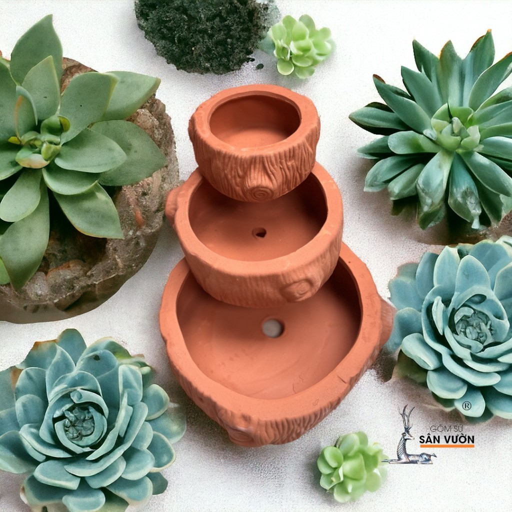 Chậu Gốm Đất Nung Hình Gốc Cây Thấp - Gốm Sứ Sân Vườn