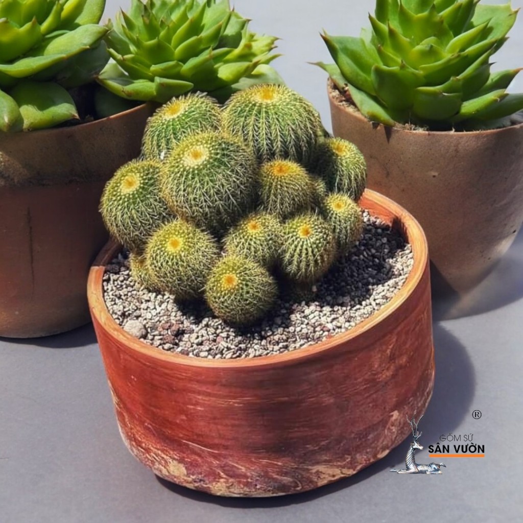Chậu Gốm Đất Nung Dáng Trụ Lùn Trơn / Loang / Cắt Rối - Gốm Sứ Sân Vườn