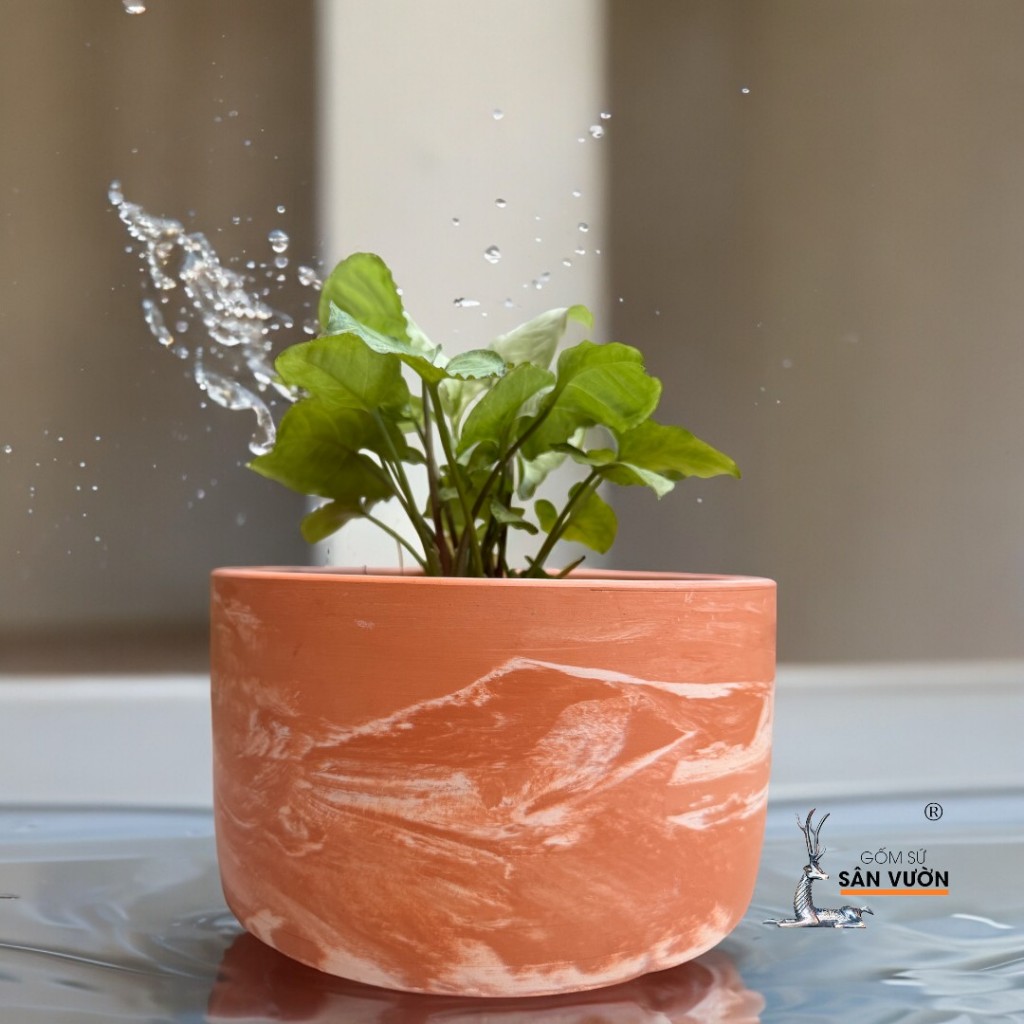 Chậu Gốm Đất Nung Dáng Trụ Lùn Trơn / Loang / Cắt Rối - Gốm Sứ Sân Vườn