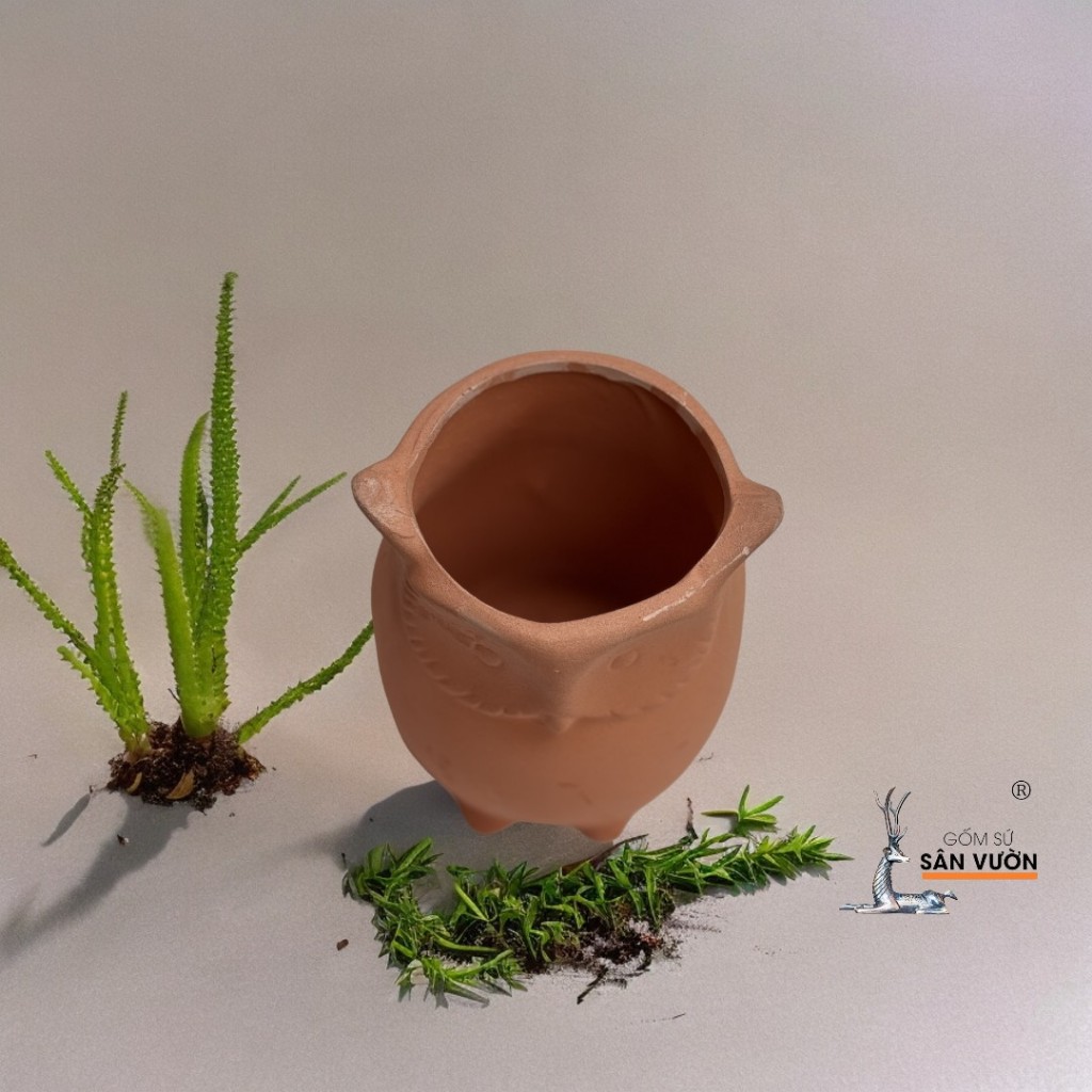 Chậu Gốm Đất Nung Hình Chú Cú Nhỏ Dễ Thương - Gốm Sứ Sân Vườn - Chậu Gốm Đất Nung Trồng Sen Đá