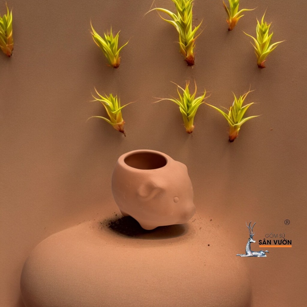 Chậu Gốm Đất Nung Hình Heo Con Mini - Gốm Sứ Sân Vườn