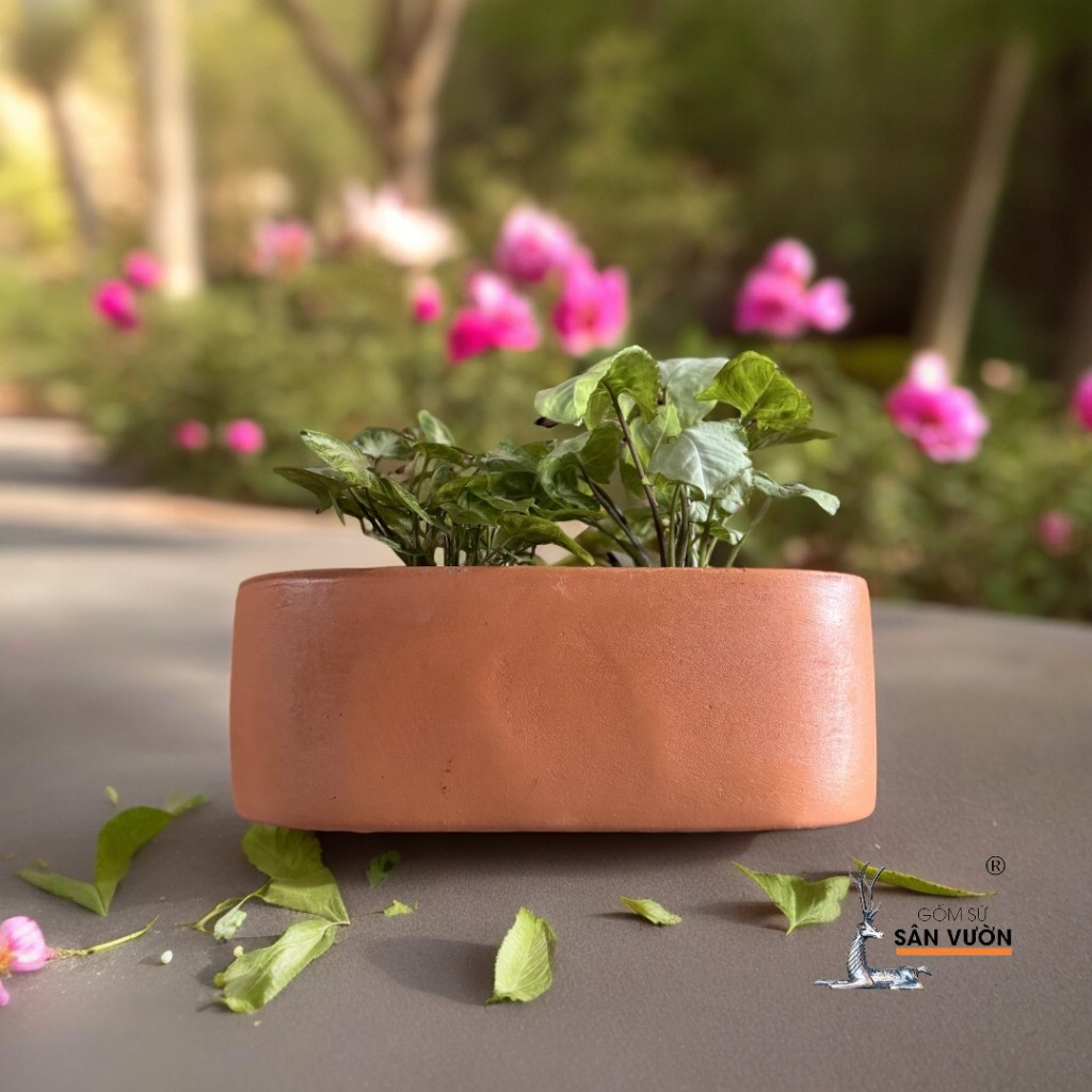Chậu Treo Ốp Tường Gốm Đất Nung Hình Chữ Nhật Tròn - Gốm Sứ Sân Vườn