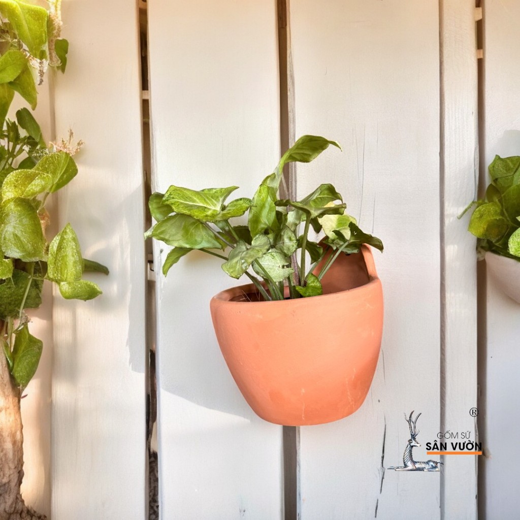 Chậu Treo Gốm Đất Nung Dáng Trứng Dẹp, Trơn - Gốm Sứ Sân Vườn