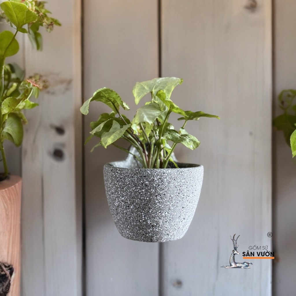 Chậu Treo Gốm Đất Nung Dáng Trứng Dẹp, Trơn - Gốm Sứ Sân Vườn