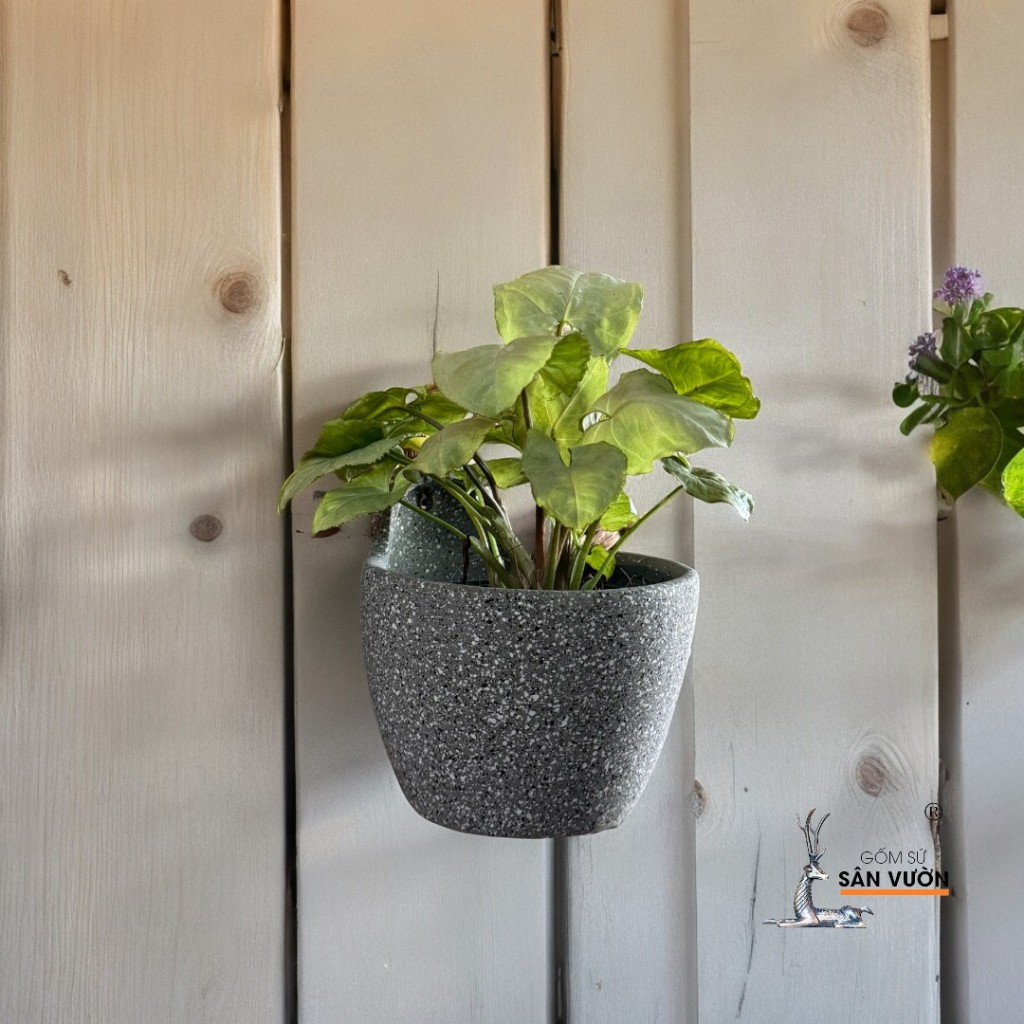 Chậu Treo Gốm Đất Nung Dáng Trứng Dẹp, Trơn - Gốm Sứ Sân Vườn