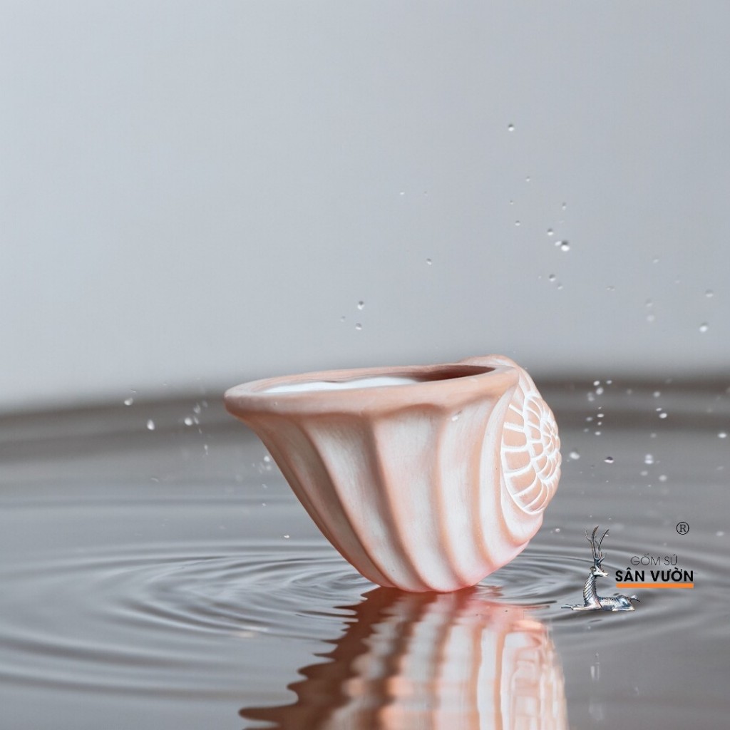 Chậu Gốm Đất Nung Hình Vỏ Ốc Xoắn - Gốm Sứ Sân Vườn