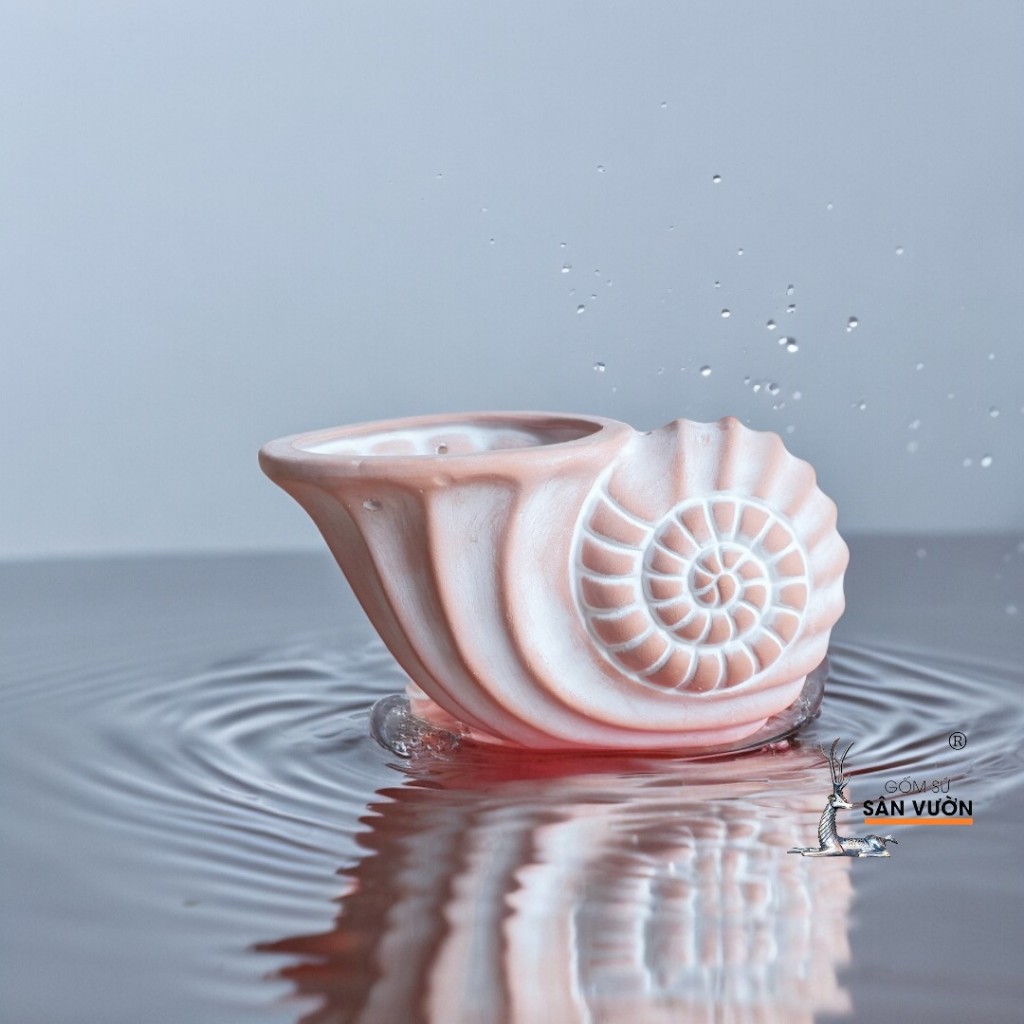 Chậu Gốm Đất Nung Hình Vỏ Ốc Xoắn - Gốm Sứ Sân Vườn