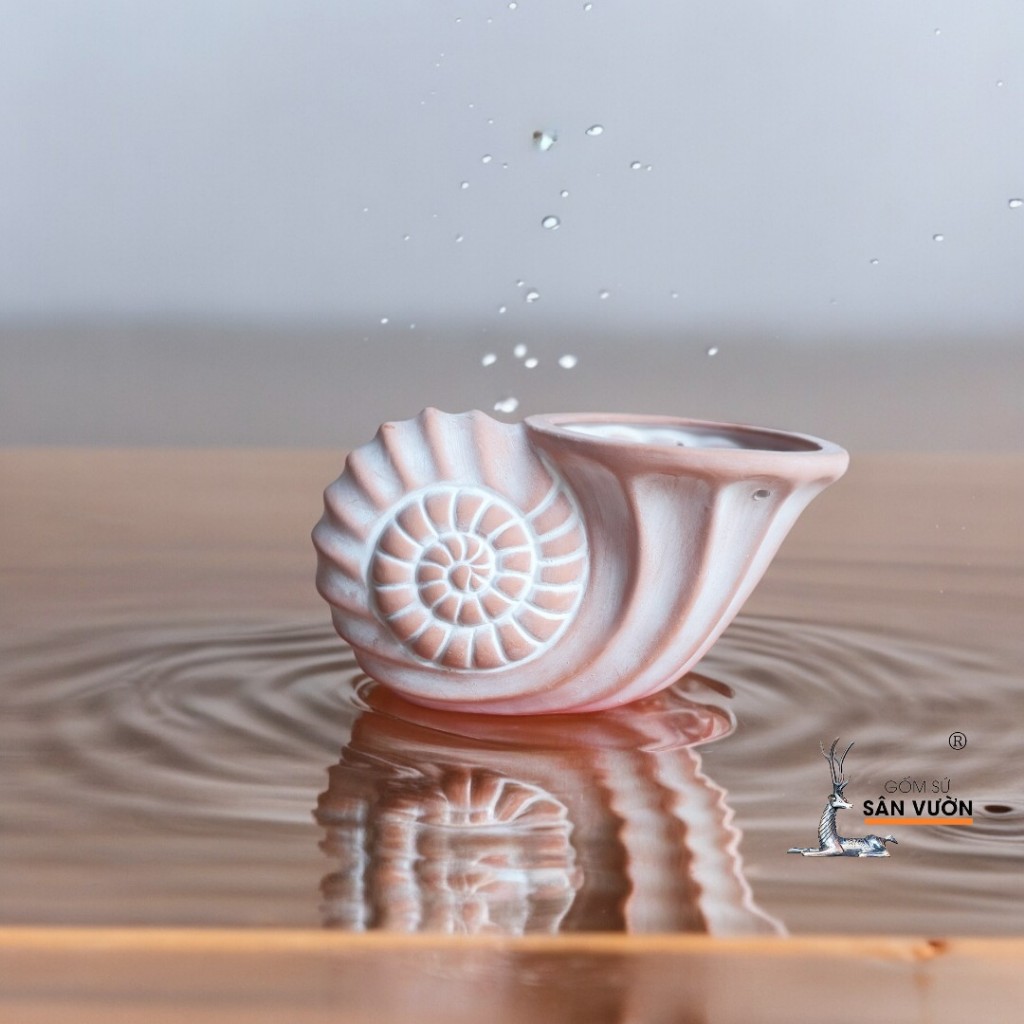 Chậu Gốm Đất Nung Hình Vỏ Ốc Xoắn - Gốm Sứ Sân Vườn