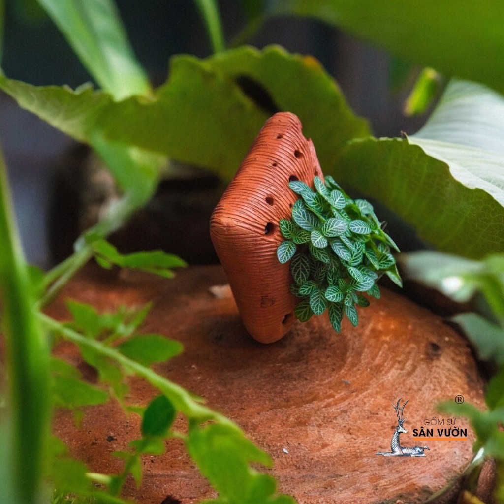 Decor Gốm Đất Nung Hình Trái Tim, Cá Ngựa, Vuông, Tròn, Thoi - Gốm Sứ Sân Vườn