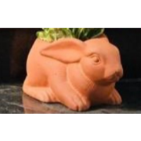 Chậu Gốm Đất Nung Hình Thú Dễ Thương ( Voi, Trâu, Gấu, Thỏ, Cún) - Gốm Sứ Sân Vườn
