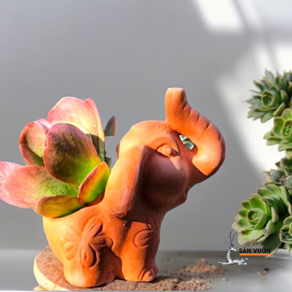 Chậu Gốm Đất Nung Hình Chú Voi Tai To - Gốm Sứ Sân Vườn