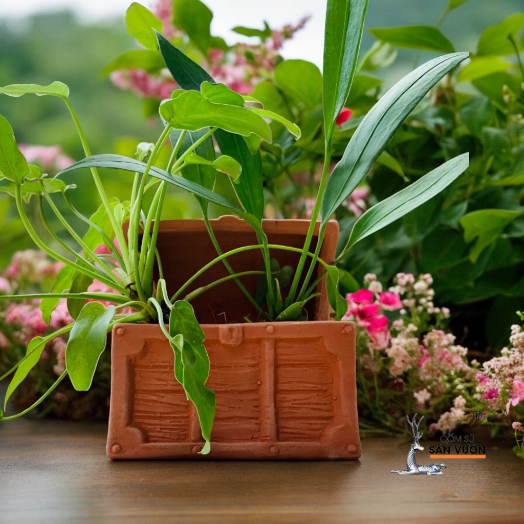 Chậu Gốm Đất Nung Hình Chiếc Rương Kho Báu - Gốm Sứ Sân Vườn