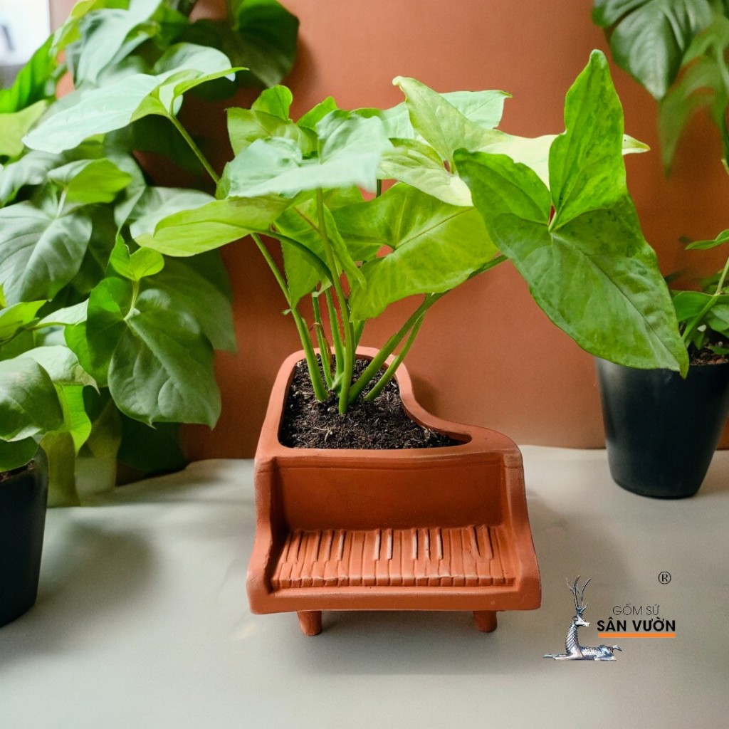 Chậu Gốm Đất Nung Hình Đàn Piano - Gốm Sứ Sân Vườn