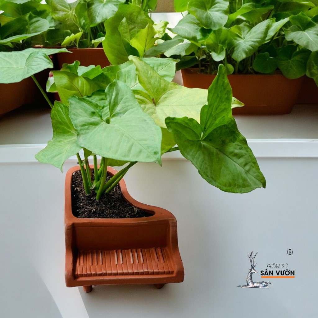 Chậu Gốm Đất Nung Hình Đàn Piano - Gốm Sứ Sân Vườn