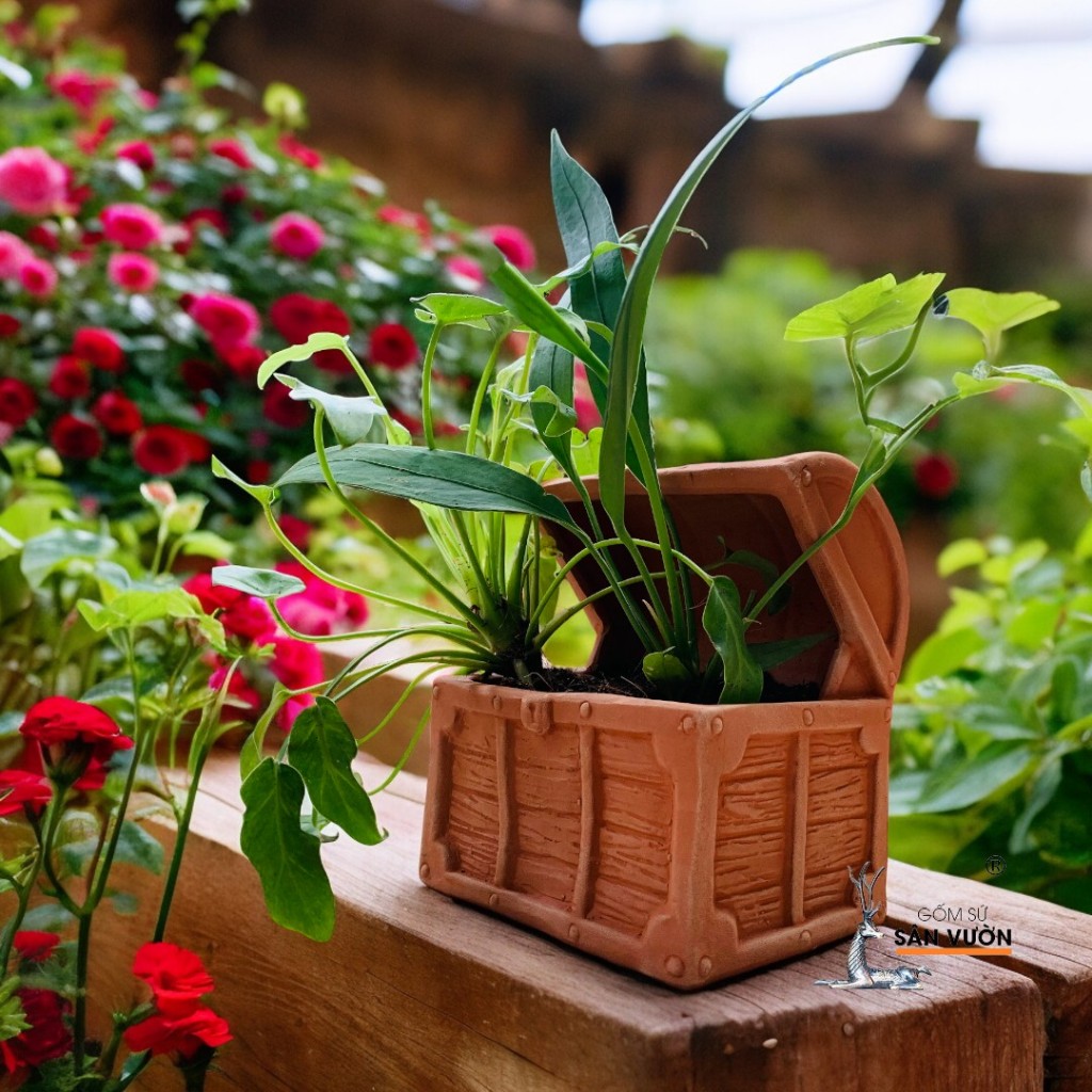 Chậu Gốm Đất Nung Hình Chiếc Rương Kho Báu - Gốm Sứ Sân Vườn