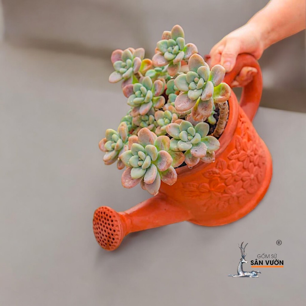 Chậu Gốm Đất Nung Hình Bình Vòi Sen - Gốm Sứ Sân Vườn