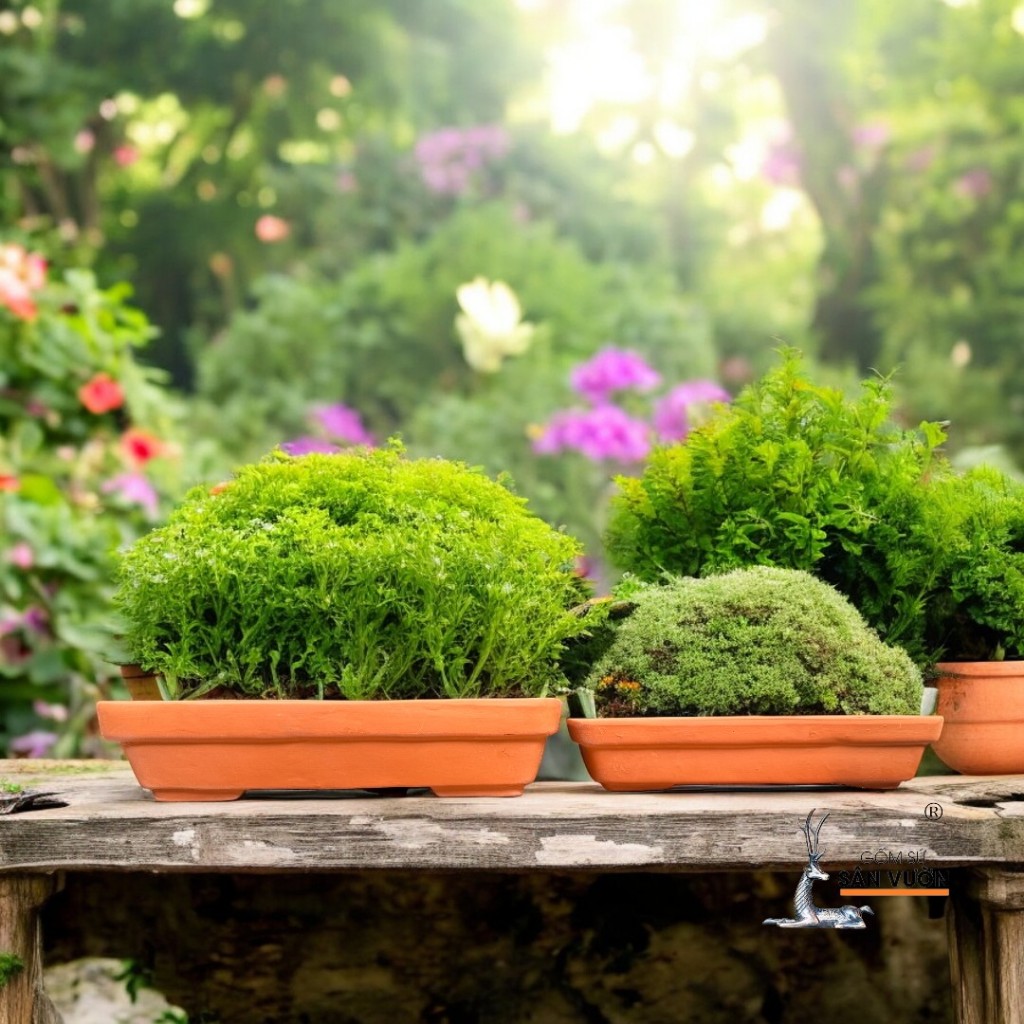 Chậu Gốm Đất Nung Dáng Chữ Nhật Trồng Cây Bonsai - Gốm Sứ Sân Vườn