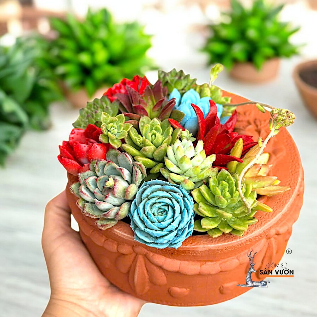 Chậu Gốm Đất Nung Hình Bánh Kem - Gốm Sứ Sân Vườn - Chậu Trồng Sen Đá, Xương Rồng Mini