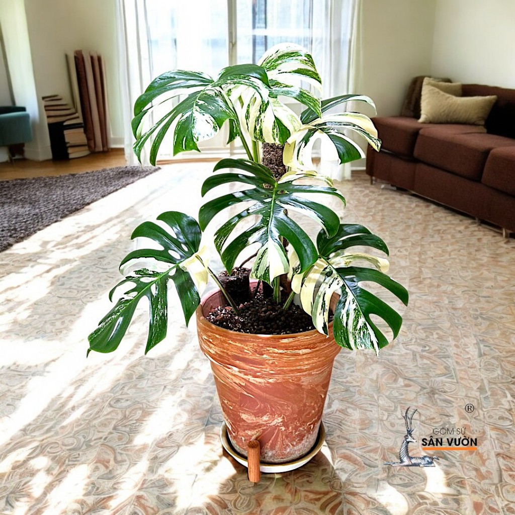 Chậu Gốm Đất Nung Ly Gờ Loang Marble - Gốm Sứ Sân Vườn