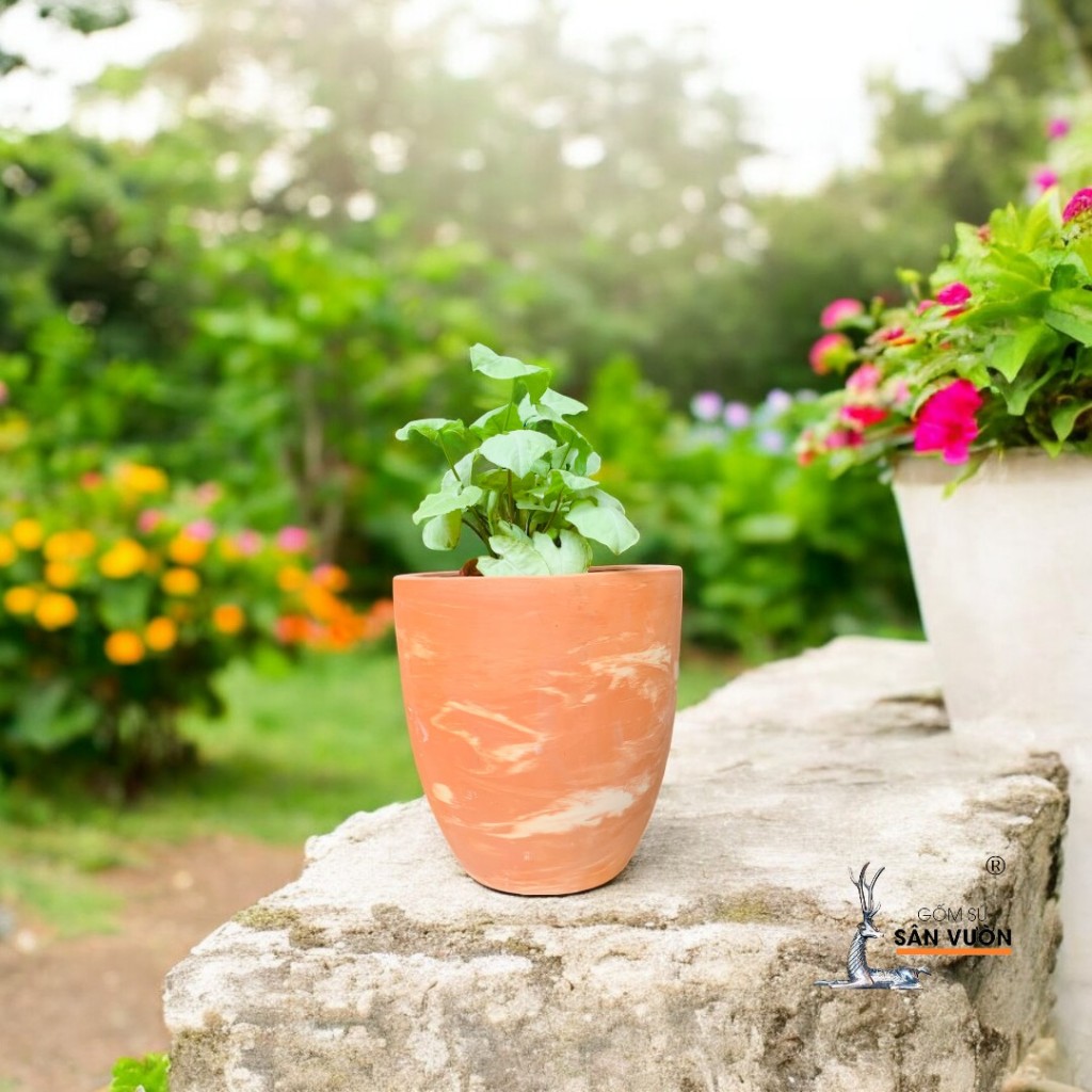 Bộ 3 Chậu Gốm Đất Nung Dáng Vót Cao Miệng Giả Loang Marble Trồng Kiểng Lá - Gốm Sứ Sân Vườn