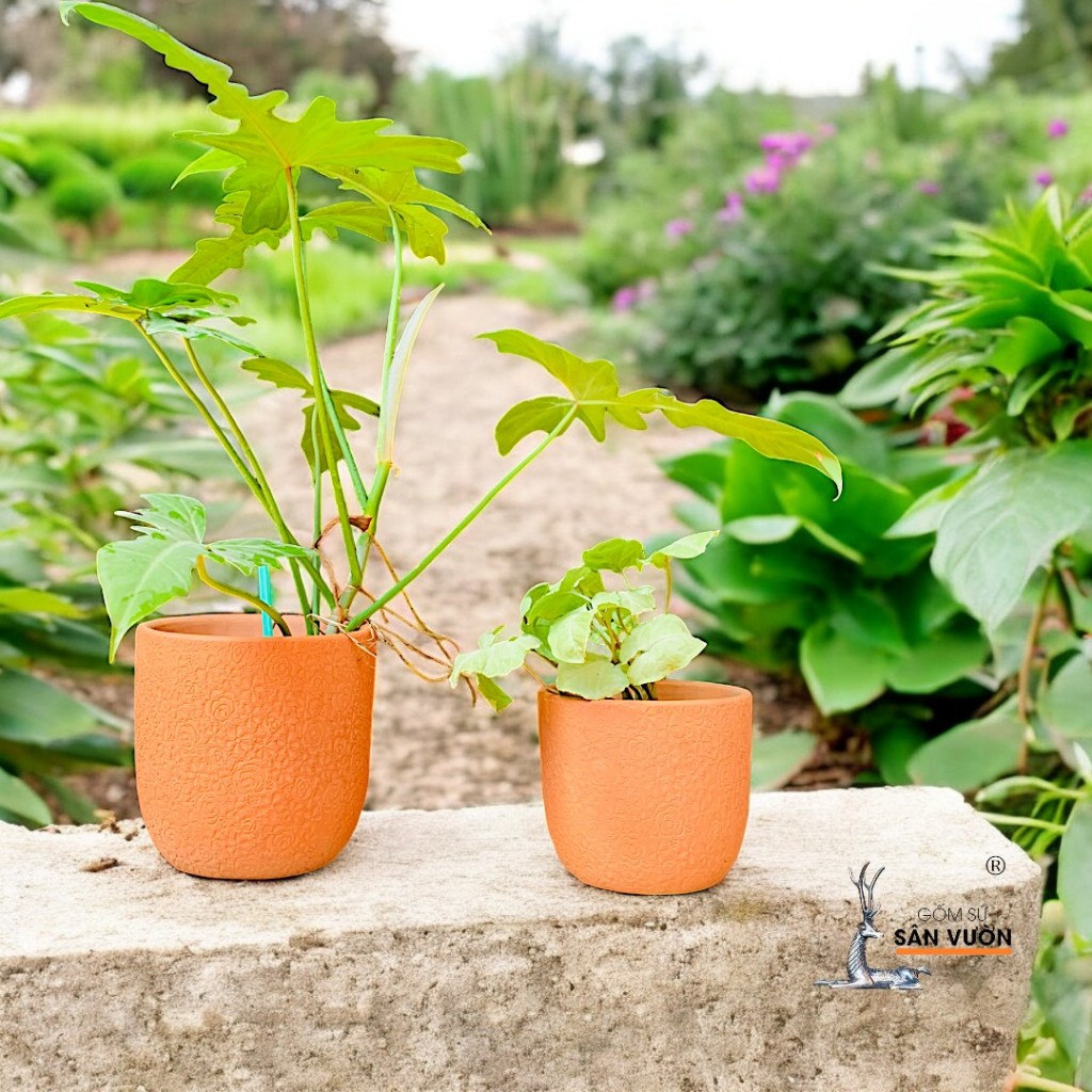 Chậu Gốm Đất Nung Dáng Trứng Vân Hoa Hồng - Gốm Sứ Sân Vườn