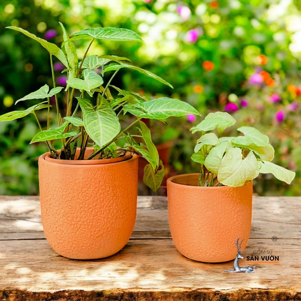 Chậu Gốm Đất Nung Dáng Trứng Vân Hoa Hồng - Gốm Sứ Sân Vườn