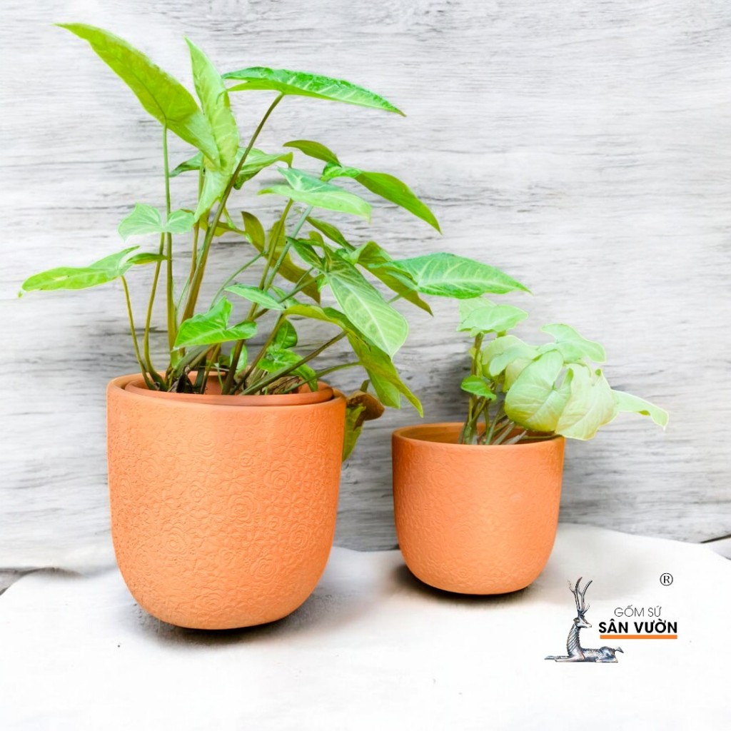 Chậu Gốm Đất Nung Dáng Trứng Vân Hoa Hồng - Gốm Sứ Sân Vườn