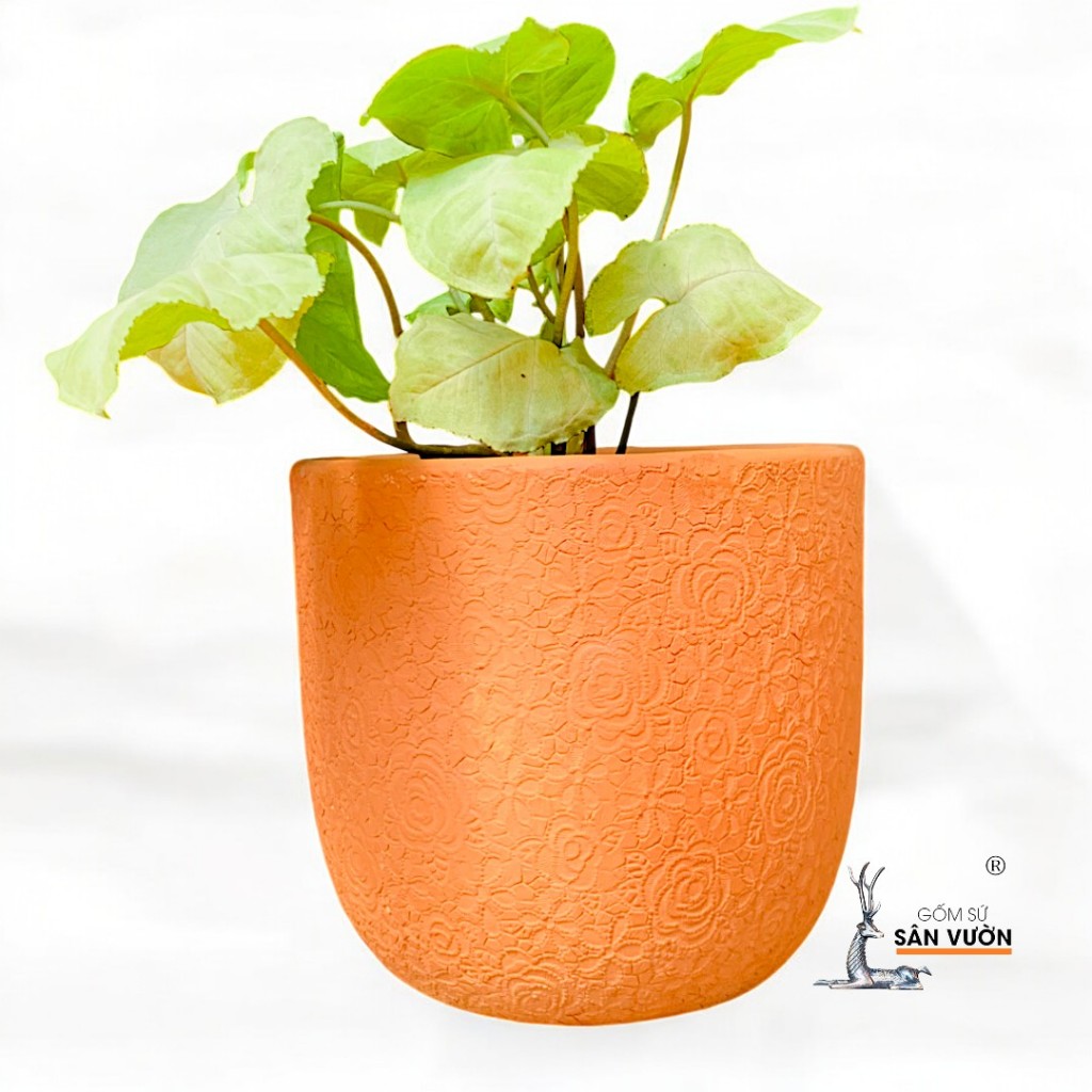 Chậu Gốm Đất Nung Dáng Trứng Vân Hoa Hồng - Gốm Sứ Sân Vườn