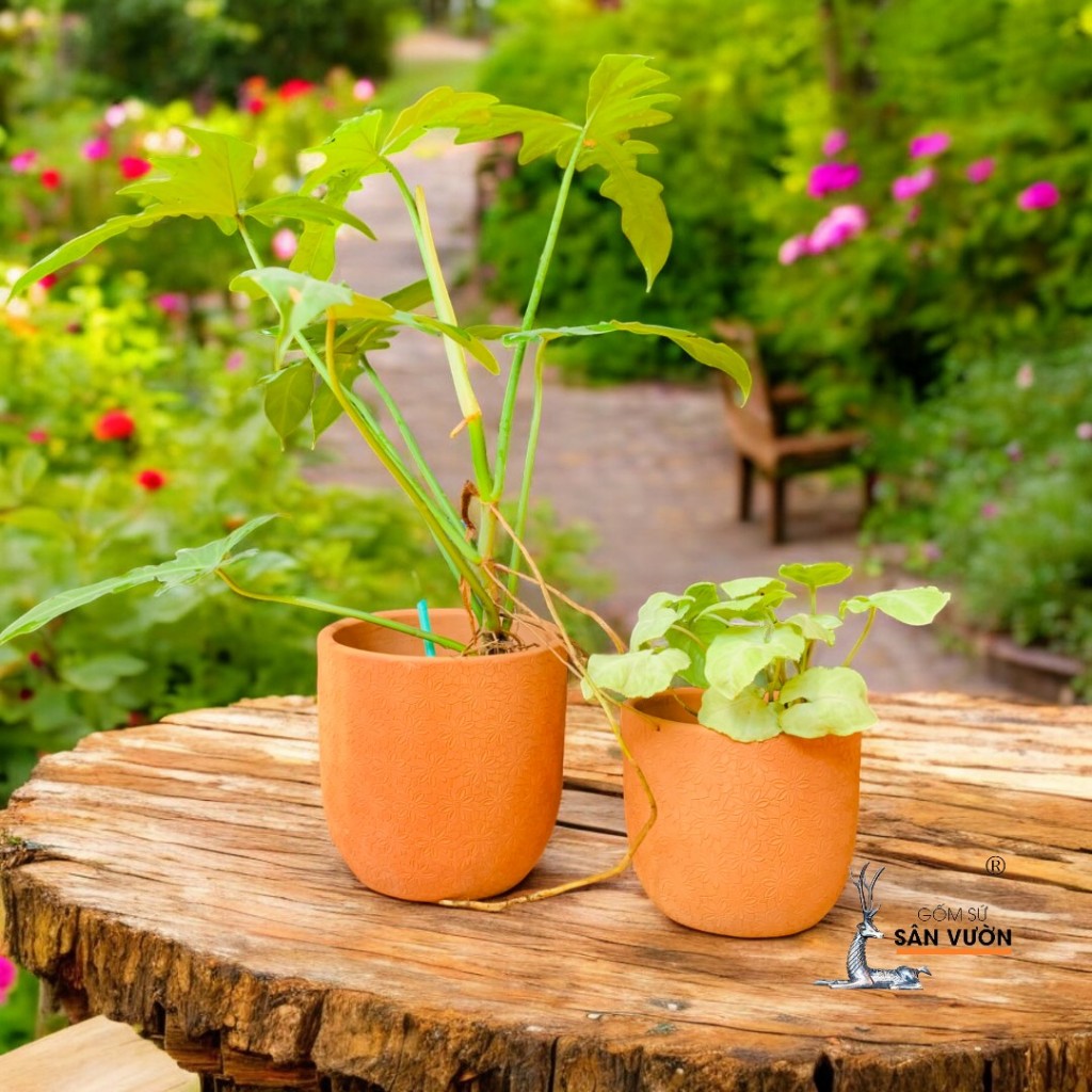 Chậu Gốm Đất Nung Dáng Trứng Vân Hoa Cúc - Gốm Sứ Sân Vườn