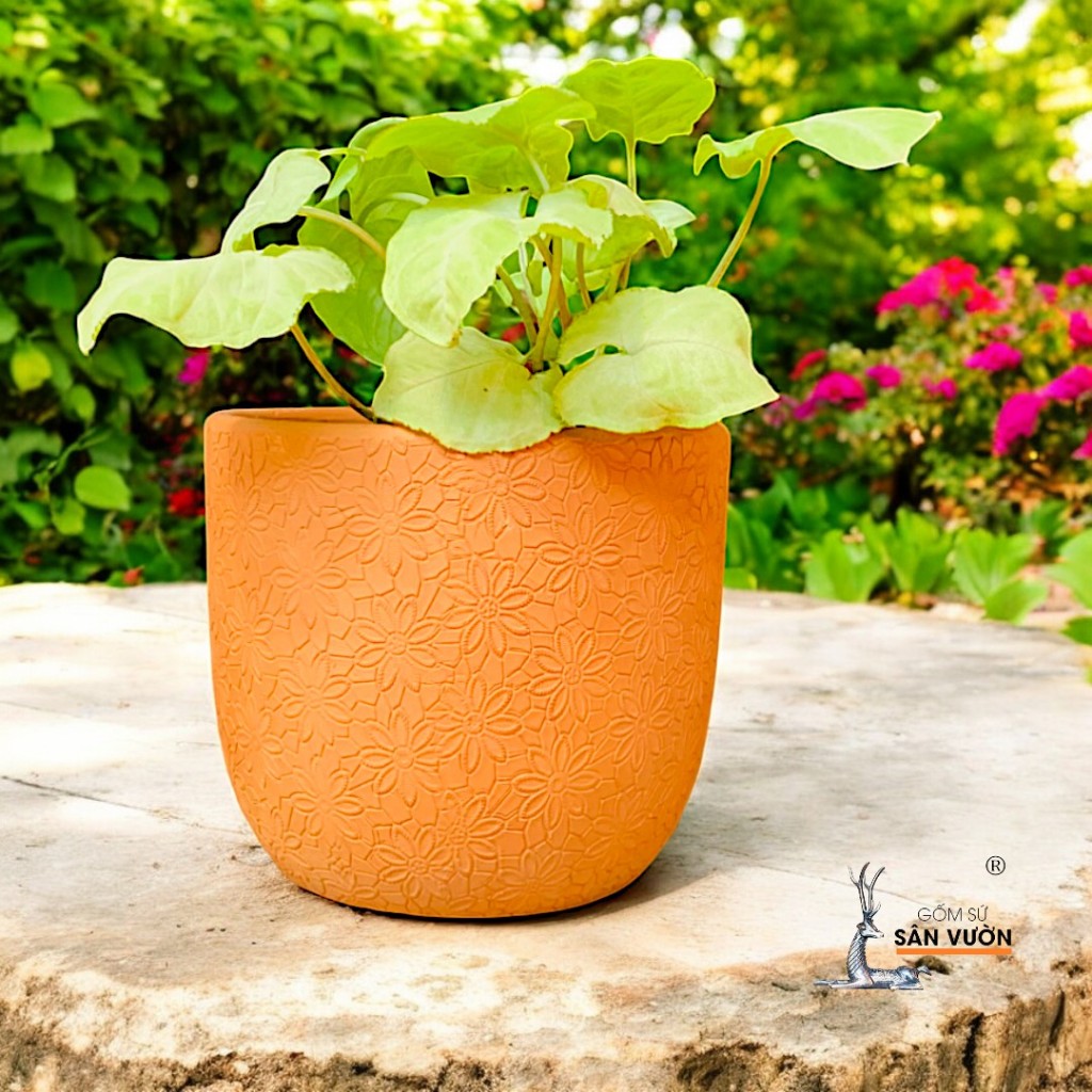 Chậu Gốm Đất Nung Dáng Trứng Vân Hoa Cúc - Gốm Sứ Sân Vườn