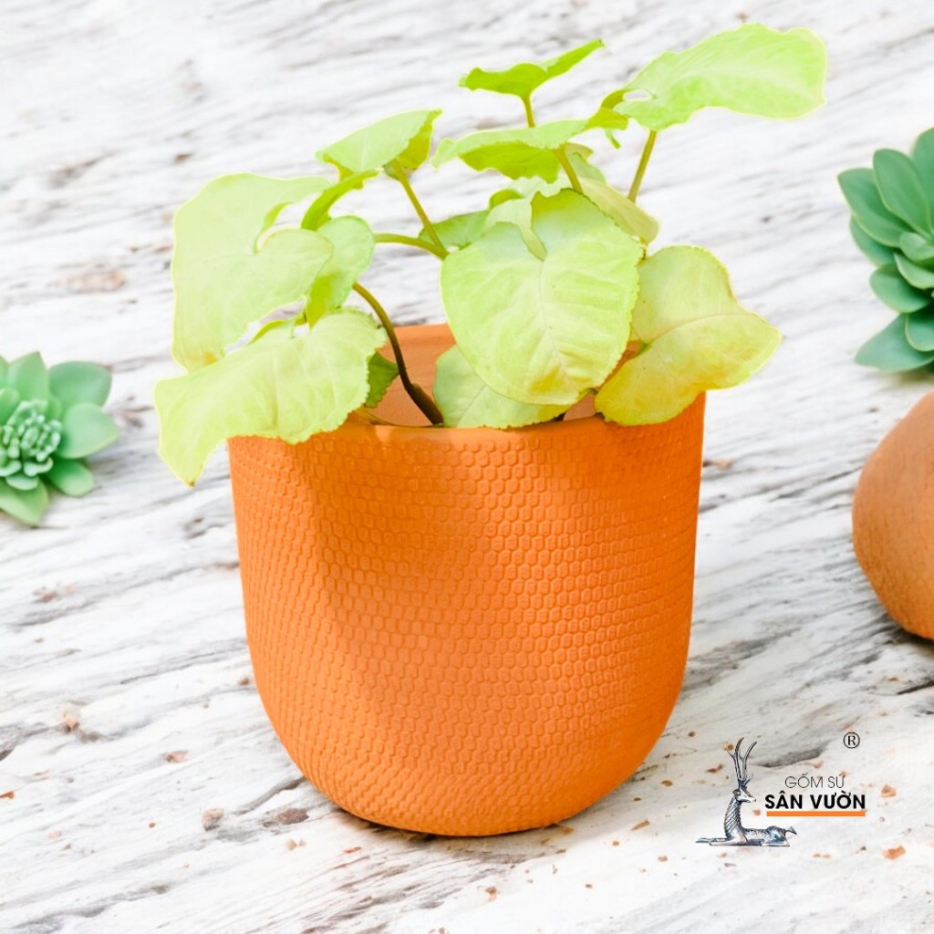 Chậu Gốm Đất Nung Dáng Trứng Vân Da Rắn - Gốm Sứ Sân Vườn