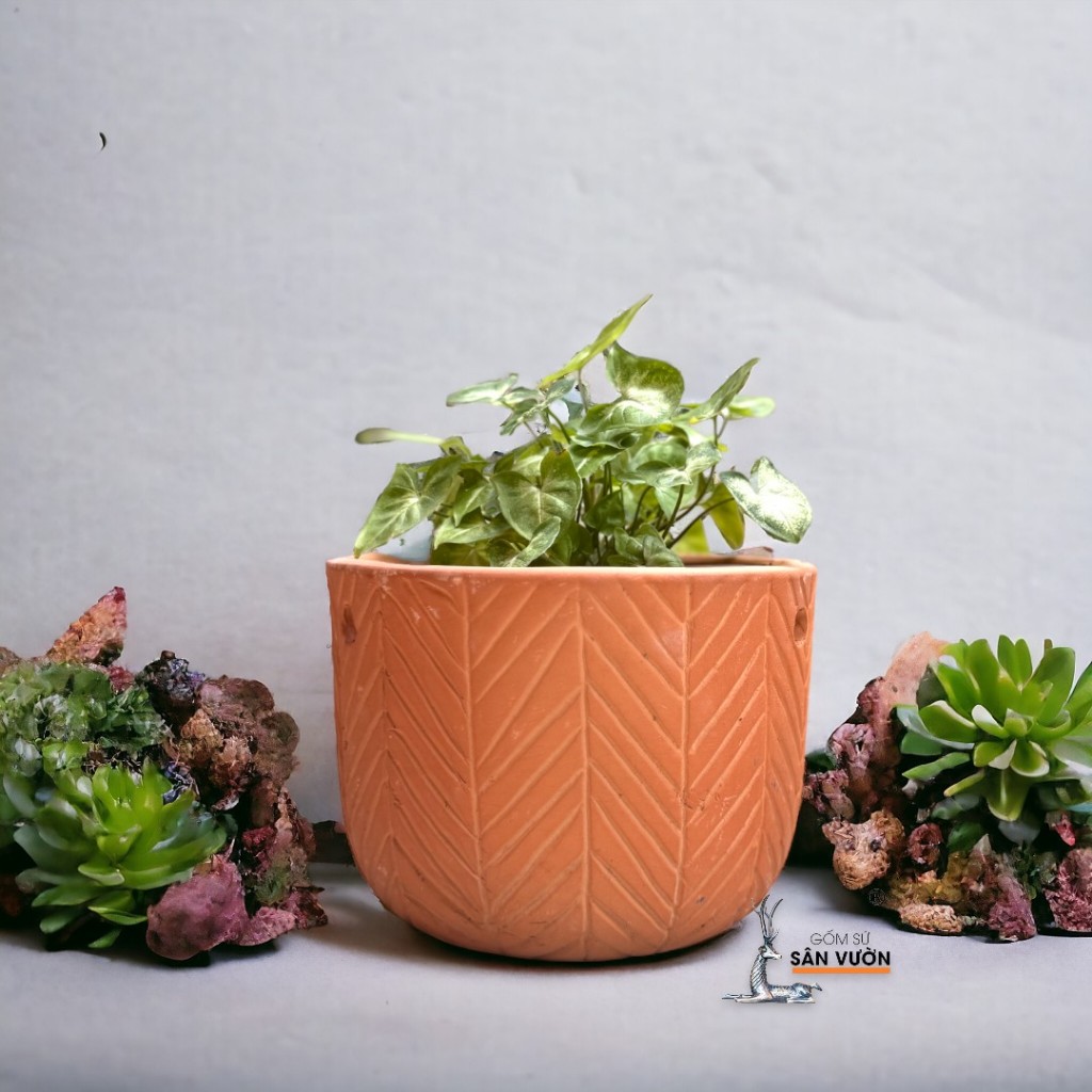 Chậu Treo Dây Gốm Đất Nung Hoa Văn Xương Cá - Gốm Sứ Sân Vườn