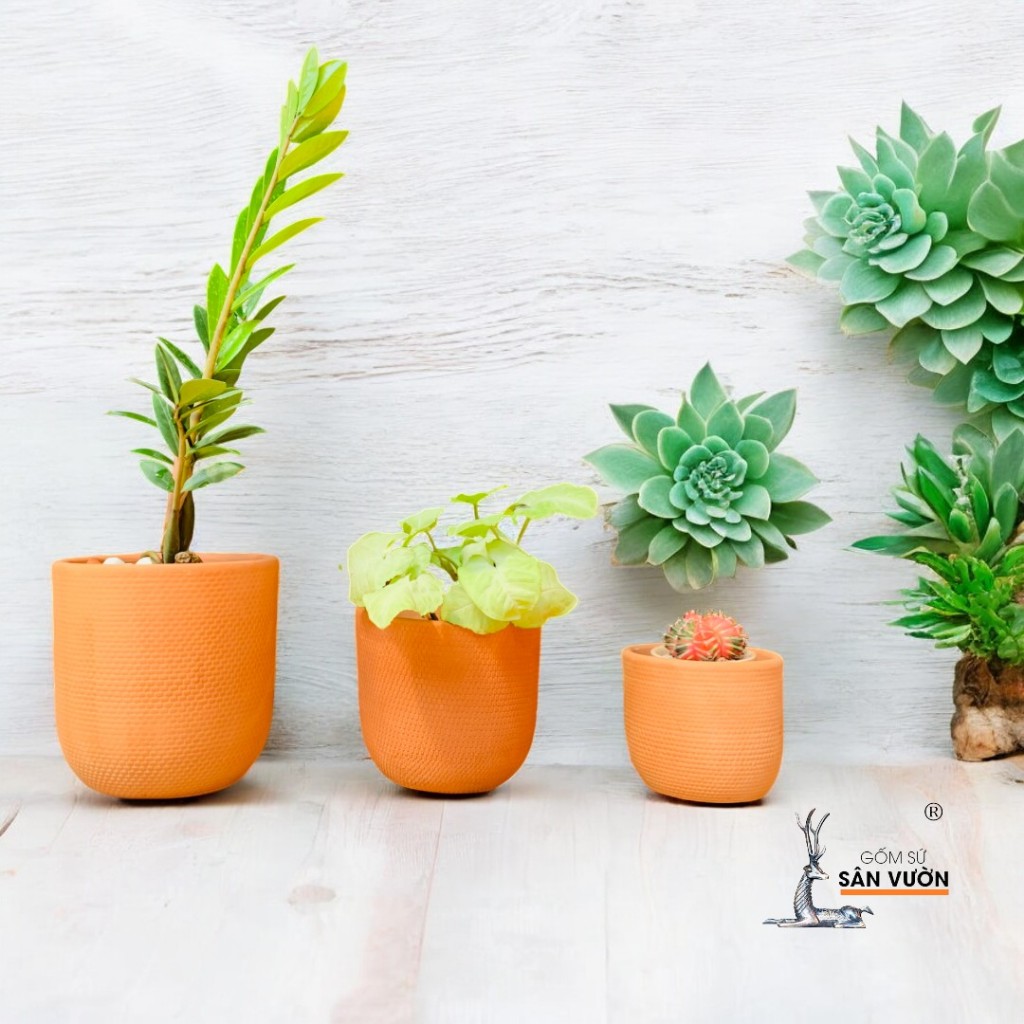 Chậu Gốm Đất Nung Dáng Trứng Vân Da Rắn Size 17 x 17 cm - Gốm Sứ Sân Vườn