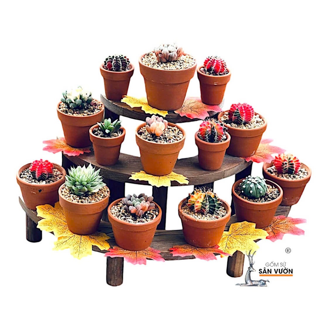 Combo 10 Chậu Gốm Đất Nung Ly Gờ Cao (Size Nhỏ) + Đĩa Lót - Gốm Sứ Sân Vườn