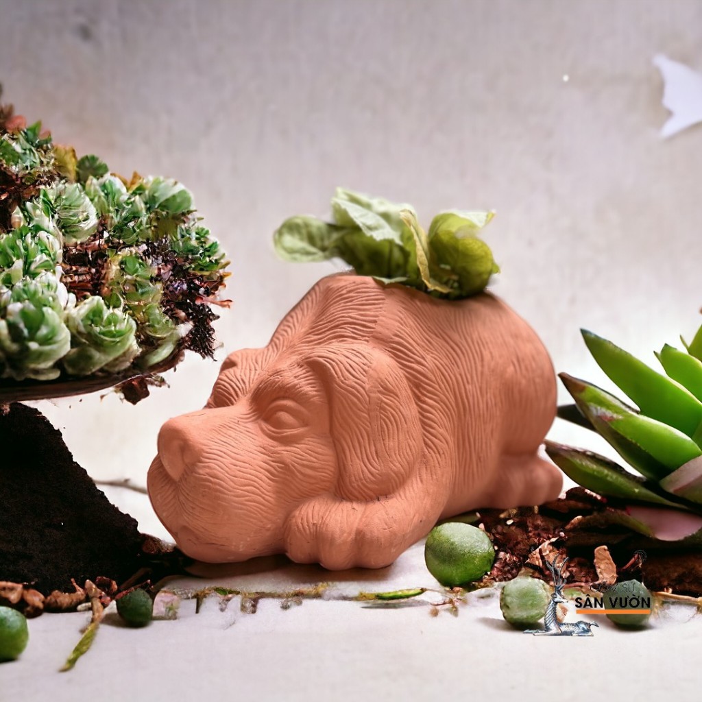 Chậu Gốm Đất Nung Hình Thú Dễ Thương ( Voi, Trâu, Gấu, Thỏ, Cún) - Gốm Sứ Sân Vườn
