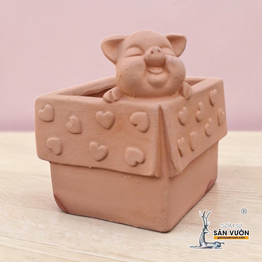 Chậu Gốm Đất Nung Hình Chú Heo Trong Hộp Quà - Gốm Sứ Sân Vườn