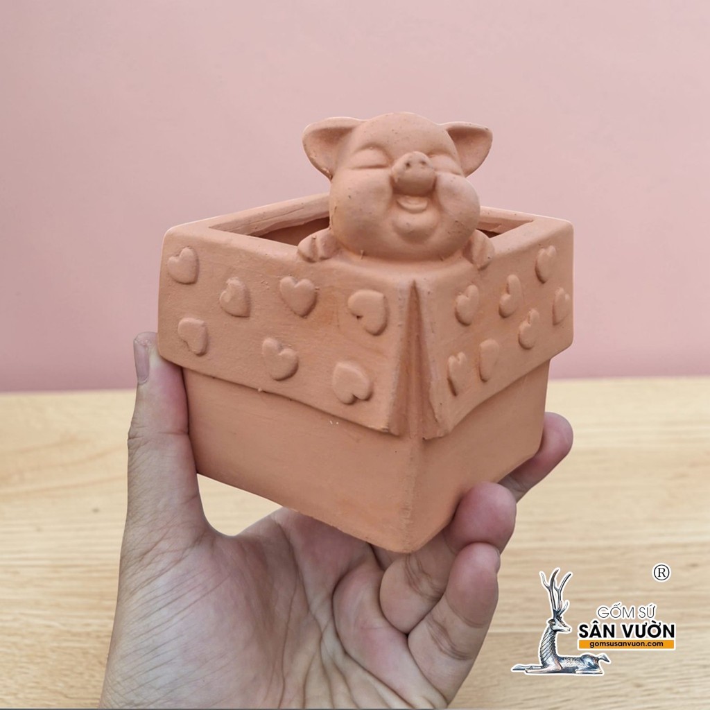 Chậu Gốm Đất Nung Hình Chú Heo Trong Hộp Quà - Gốm Sứ Sân Vườn