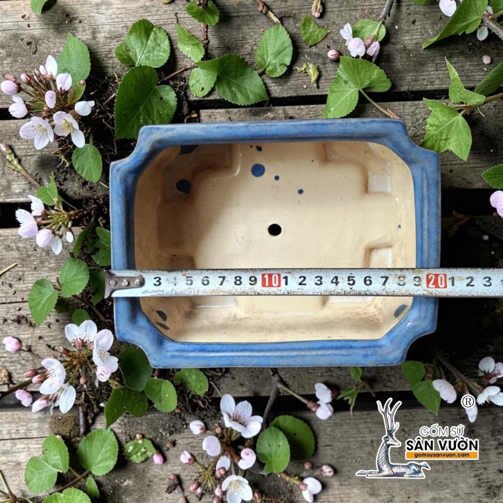 Chậu Bonsai Chữ Nhật Tráng Men Xanh - Gốm Sứ Sân Vườn
