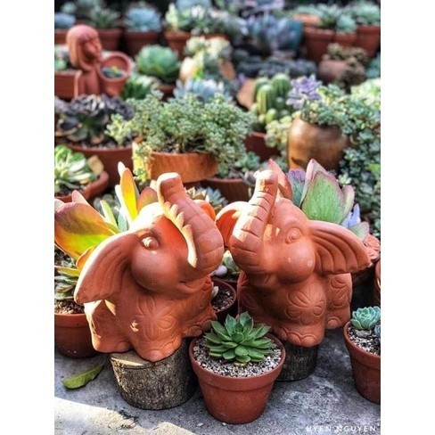 Chậu Gốm Đất Nung Hình Chú Voi Tai To - Gốm Sứ Sân Vườn