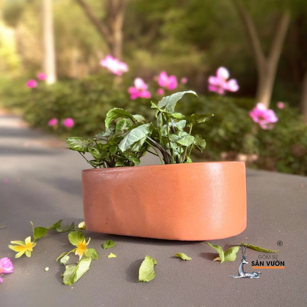 Chậu Treo Ốp Tường Gốm Đất Nung Hình Chữ Nhật Tròn - Gốm Sứ Sân Vườn