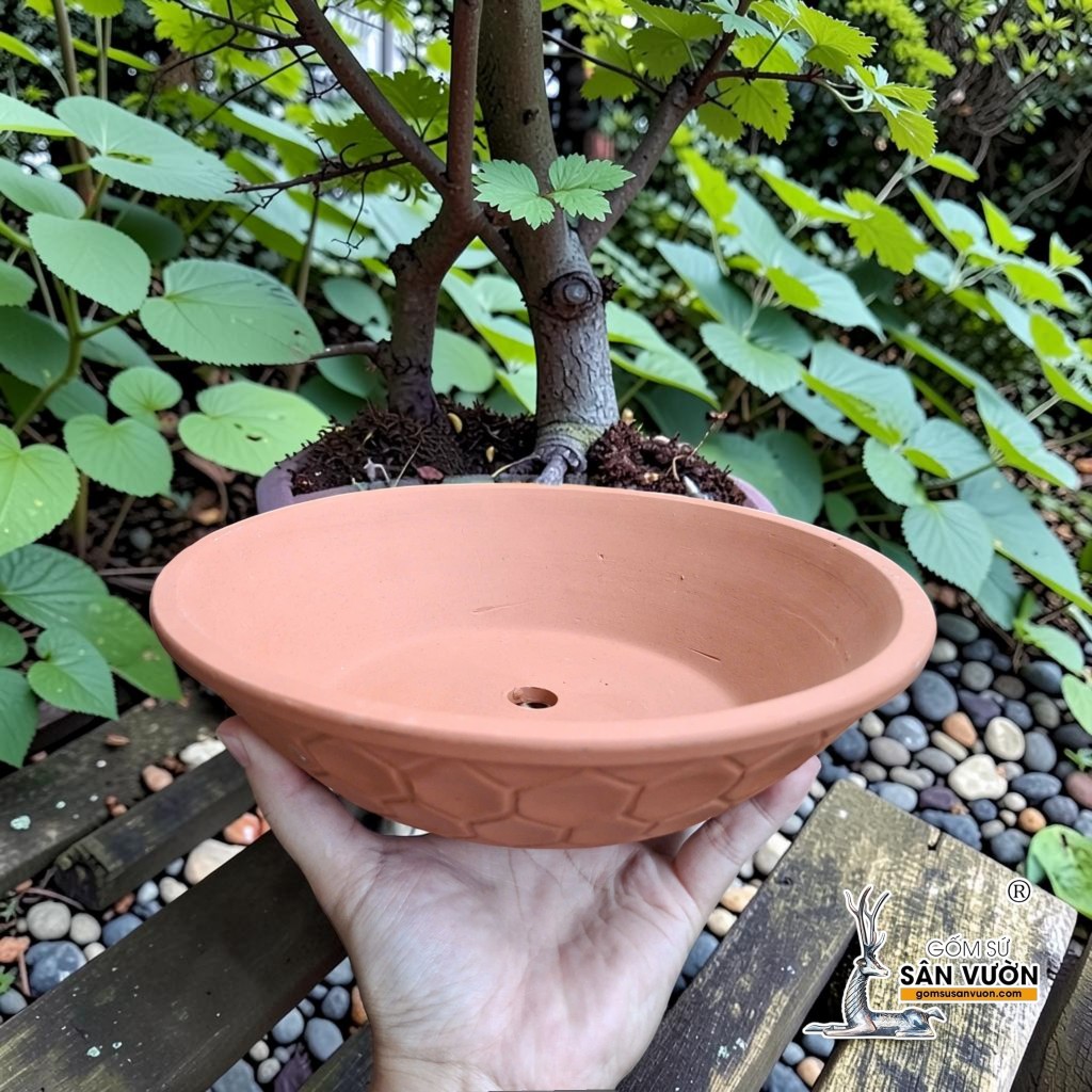 Chậu Đất Nung Dáng Dẹt Vân Tổ Ong Thích Hợp Trồng Bonsai - Gốm Sứ Sân Vườn