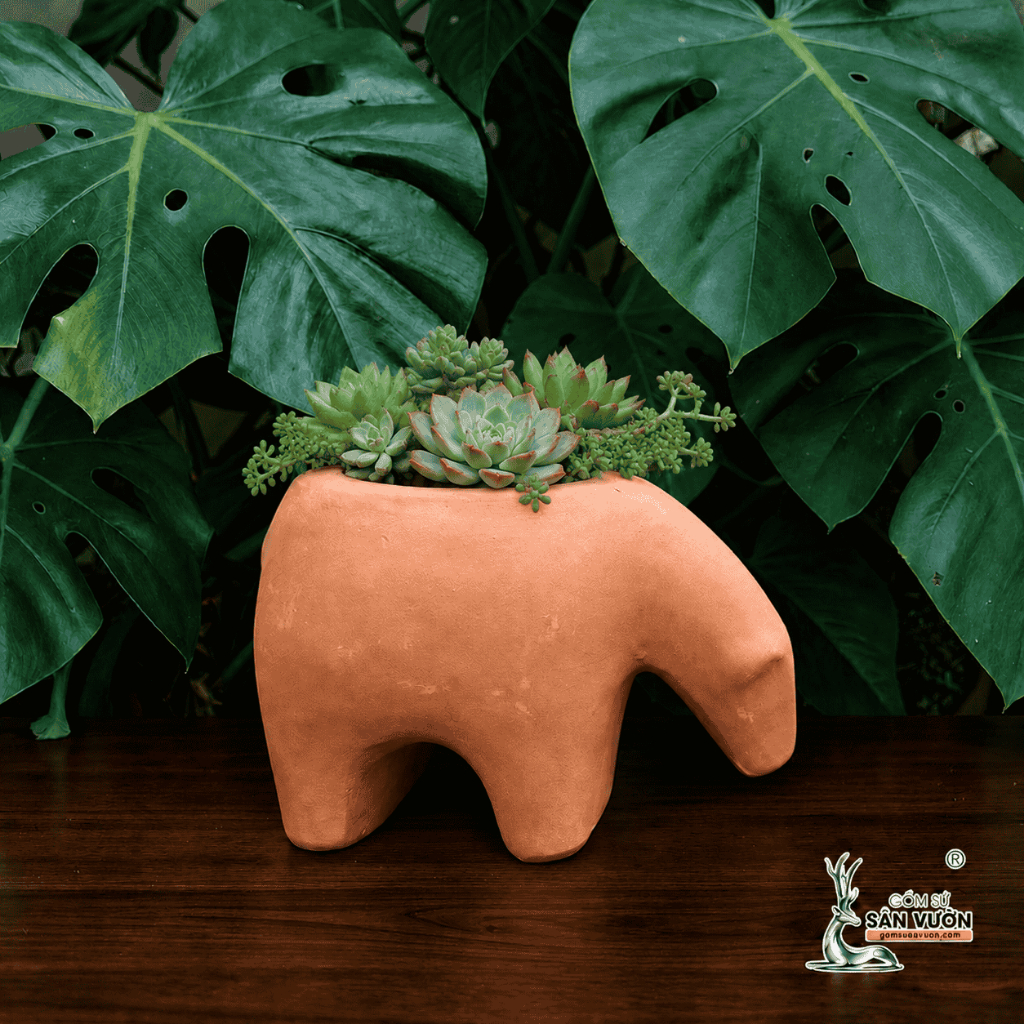 Chậu Gốm Đât Nung Hình Thú Ăn Kiến - Gốm Sứ Sân Vườn